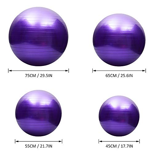 Tomshoo Pelota de yoga antipinchazos, gruesa, estable, pelota de equilibrio, pilates, barra, fitness, 45 cm/55 cm/65 cm/75 cm, bomba de aire, Rosa., 55 cm
