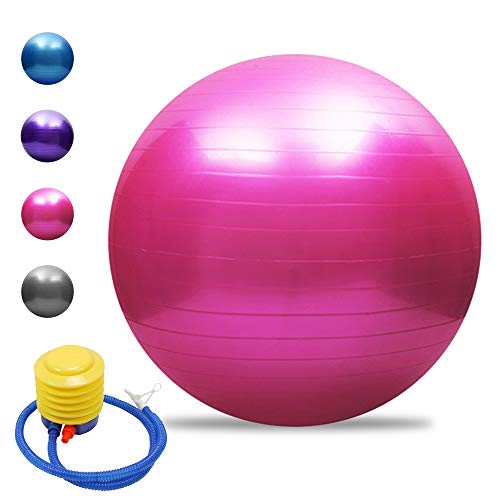 Tomshoo Pelota de yoga antipinchazos, gruesa, estable, pelota de equilibrio, pilates, barra, fitness, 45 cm/55 cm/65 cm/75 cm, bomba de aire, Rosa., 55 cm