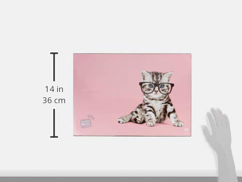 Vade Studio Pets Cats - Tapete escritorio, Protector escritorio - Producto con licencia oficial