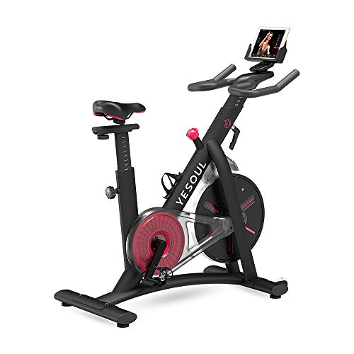 Xplorer Yesoul S3 Negro, Bicicleta Estacionaria para Ejercicios en Casa, Transmisión por Correa, Asiento Cómodo, Resistencia Magnética Ajustable, con Ruedas