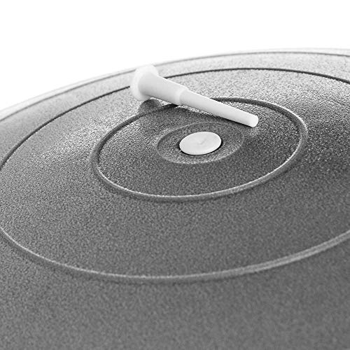 meteor Pelota Gimnasia Pelota de Ejercicio para Fitness Balón De Ejercicios con Bomba para Hombres y Mujeres Fitness Yoga Pilates (85 cm, Plata)
