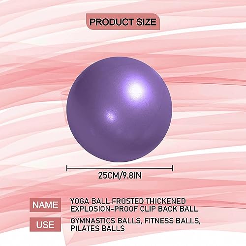 2 Piezas Pelota de Pilates para Yoga, Barra, Entrenamiento y Terapia Física, Mejora el Equilibrio, Fuerza de Núcleo, Dolor de Espalda y Postura, 25CM