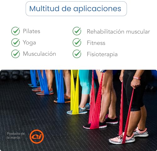 Bandas elasticas musculacion para Fitness, Yoga, Pilates, Fisioterapia y Rehabilitacion. Gomas elasticas musculacion con Diferentes Resistencia. Bandas elasticas Marca C+I. (Azul)