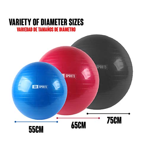 Calma Dragon Pelota de Pilates 55cm 65cm 75cm Diámetro Fitness Balón para Embarazadas Fitball, con Inflador Incluido, Bola Grande para Yoga, Gimnasia (Rojo, 65)