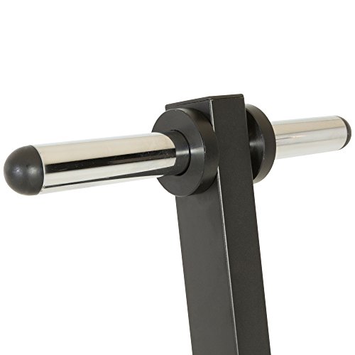 Fitness Reality Clase X Estante olímpico para árbol/Platos, Soportes de Barra, Postes de Almacenamiento cromados, Capacidad de 1000 Libras con garantía Limitada de por Vida, Unisex, Negro, 1000 LB
