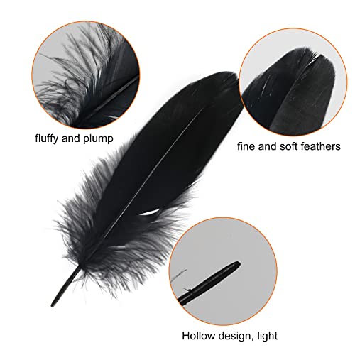 GGISUI 250 Piezas Plumas Negro Naturales Plumas de Ganso Decoracion 3 tamaños para Bricolaje Atrapasueños Decoración Ceremonia Boda Disfraces de Halloween Alas de Angel
