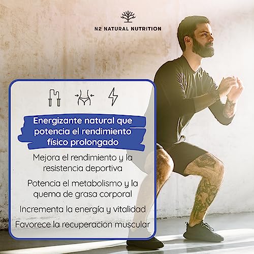 L CARNITINA 100% Natural 2000 mg. Suplementos Deportivos. 120 Cápsulas 60 días, L-Carnitina Preentreno Gimnasio. Mejora Energía, Resistencia y Rendimiento. Sin Azúcar. CE. N2 Natural Nutrition