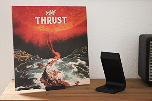 NewGround Designs Soporte para discos de vinilo, 12 pulgadas