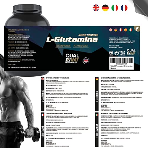 Pack de BCAA y L-Glutamina - Suplementos para Ganar Masa Muscular -Formato de 240 y 360 Cápsulas - Reduce el Catabolismo y Acelera la Recuperación - Favorece el Crecimiento Muscular - QUALNAT