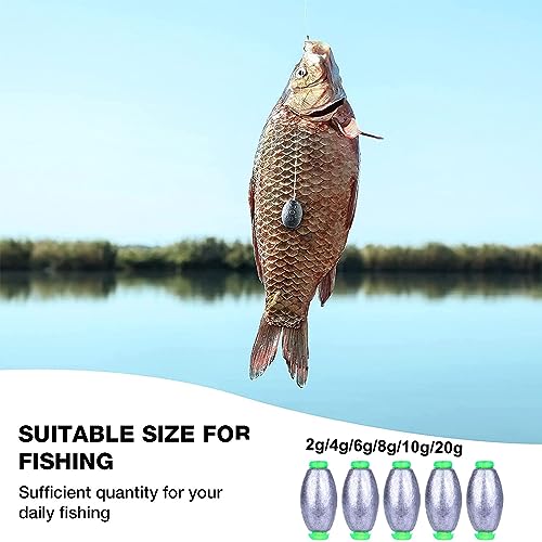 Plomos Pesca, 30Pcs Pesas de Pesca, Plomos de Pesca Surfcasting, Drop Shot Pesca para Deportes al Aire Libre y Pesca en el Mar Pesca Sinker 2g/4g/6g/8g/10g/20g