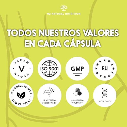 Probioticos intestinales keto probiotic, para Vientre plano, con Garcinia, Jengibre, Mate, Cromo y Cayena. 30 Mil Millones UFC, 6 Cepas. 30 Cápsulas.Vegano.CE.N2 Natural Nutrition