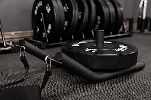 RAGE Fitness R2 Pull Trineo