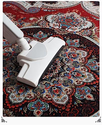 RUGMRZ Tapis Fille Tapis Sport Maison Couleur Grande Plume Impression Design canapé Tapis décontracté résistance à l'usure Tapis Terrasse Exterieur 160 x 220 cm