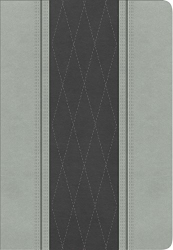 RVR 1960 Biblia Letra Grande Tamaño Manual, gris claro/gris carbón símil piel