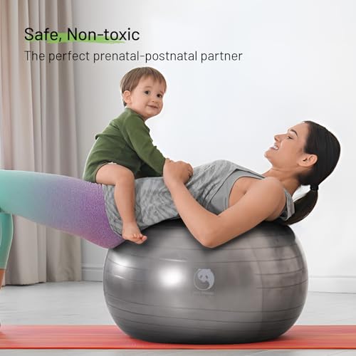 Slim Panda Pelota de Pilates 65cm, Antiexplosión Antideslizante PVC Pelota de Gimnasia, Soft Balones de Yoga para Terapia Geriátrica, Domicilio, Fitness, Entrenamiento del Equilibrio (Plateado)