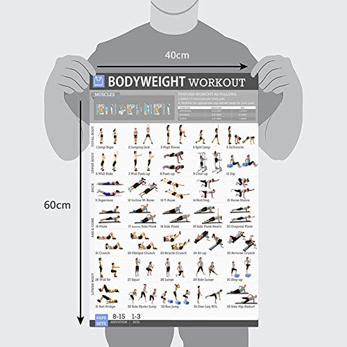 Tarragona Conjunto de PóSter de Ejercicio de Peso Corporal Laminado 2 de Cartas Hombres y Mujeres Entrenamientos de Peso Corporal para el Gimnasio en Casa Gym
