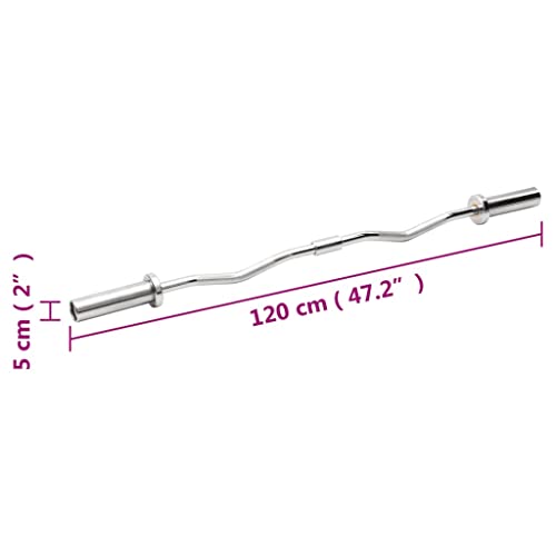 vidaXL Barra Z de Musculación Levantamiento Entrenamiento Fuerzas Fitness Curva Pesas Ejercicio Gimnasio Biceps Triceps de Acero 120 cm