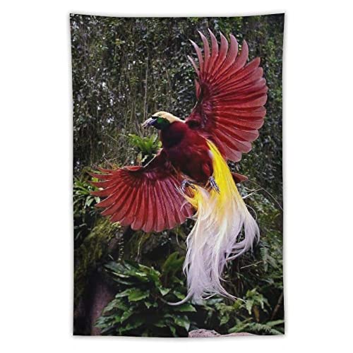 208 Tapiz Colgar Pared No Destiñen Tapices De Pared Grande Tapiz Picnic Para Playa Apartamento Fiesta Gran Ave Del Paraíso Guinea Bastante Divertido Salvaje Raro 150x230cm