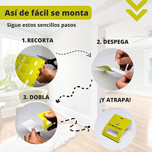 30 PCS - Trampas para Cucarachas Adhesivas Extra-Fuertes Profesional con Atrayente Alimentario para la casa - Sin Veneno ni Biocidas - Fabricadas en Europa - (30 Unidades)