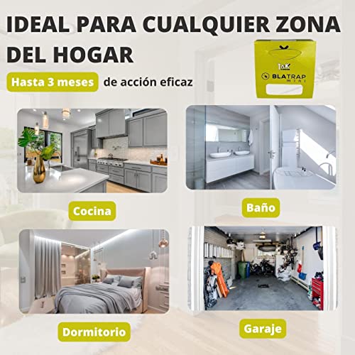 30 PCS - Trampas para Cucarachas Adhesivas Extra-Fuertes Profesional con Atrayente Alimentario para la casa - Sin Veneno ni Biocidas - Fabricadas en Europa - (30 Unidades)