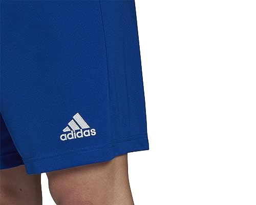 adidas Entrada 22 Shorts Bermudas, Team Royal Blue, L Hombre