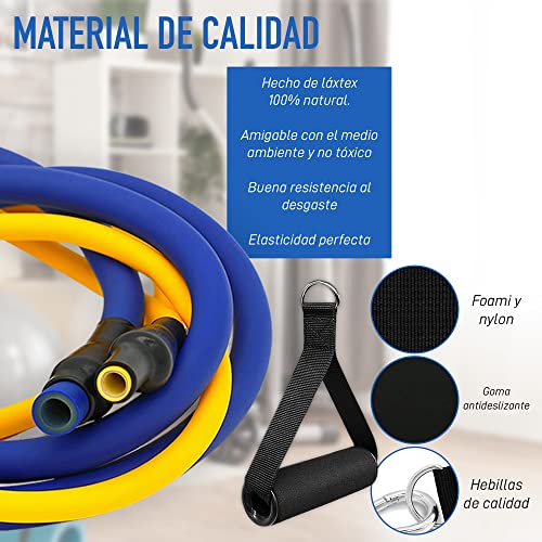 Agisports Bandas de Resistencia Crossfit - 11 Piezas, 5 Niveles de Resistencia, 150Lbs - Ideal para Crossfit, Fitness, Fisioterapia y Gimnasio en Casa