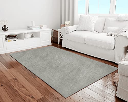 Aladdinshome Alfombra Moderna para Salón Unicolor Lavable Antideslizante Pelo Corto y Suave Gris 80x150cm