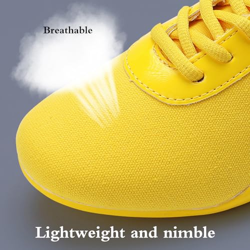 Antideslizantes Tai Chi Kung Fu Zapatos,Zapatos De Entrenamiento Artes Marciales,Zapatos De Taekwondo Artes Marciales,Transpirables,CóModos Antideslizantes,para Gimnasio Ejercicio Equipo