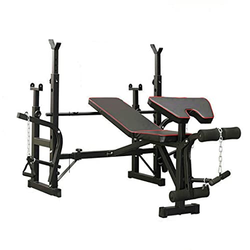 Banco de musculación ajustable con soporte para sentadillas, abdominal, mosca pectoral, etc.