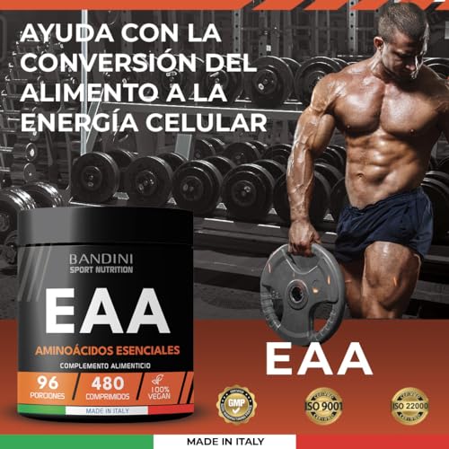 Bandini® EAA Aminoácidos Esenciales 480 TABLETAS - Con 9 Aminoácidos Esenciales Intra Pre y Post Entrenamiento - Promueve el crecimiento y la recuperación muscular - Vegano y sin azúcar