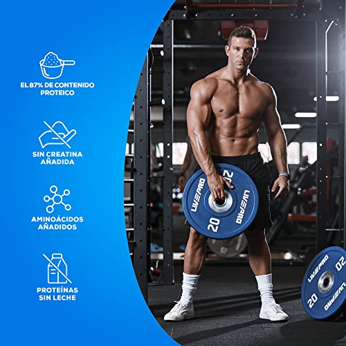 BioTechUSA Beef Protein, 87% Hydrolysed Protein Peptide Formula, Sin Lactosa ni Gluten, Bajo en Grasa, Sin Azúcar, Apto para la Dieta Paleo, 1,816 kg, Chocolate-coco