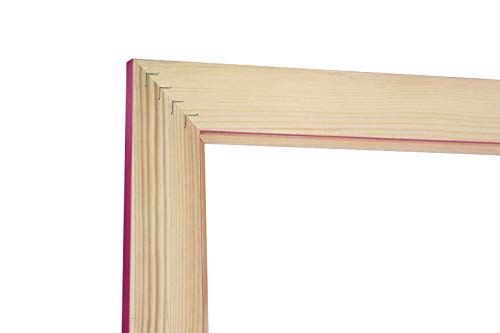 Chely Intermarket, Espejo de Pared Cuerpo Entero 35x100cm(43x108cm) Rosa/Mod-146, Ideal para peluquerías, Comedor, Dormitorio y oficinas. Fabricado en España. Material Madera.(146-35x100-4,15)