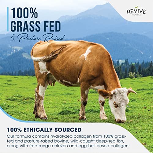 Colágeno en Polvo 400g | Multi Collagen Peptides | Tipos I, II, III, V y X - de Bovinos Alimentados con Pasto, Peces Silvestres, Caldo de Huesos.