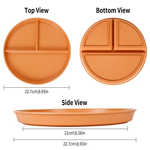 Comius Sharp 22 CM Plato Llano Dividido Irrompible, 4 Platos Llanos Redondos/Plato de Fiesta Colorido Reutilizable de 3 Compartimentos, Apto para Microondas y Lavavajillas, Platos Familiares (Marrón)