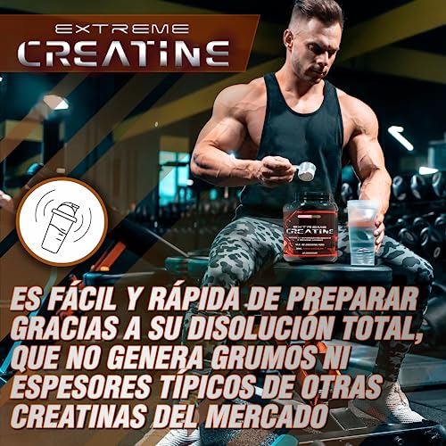 Creatina Monohidrato 100% microfiltrada | 5000mg de Creatina por dosis diaria | Mejora la resistencia física y el crecimiento muscular | Fácil disolución y máxima asimilación | 300g (Chocolate)