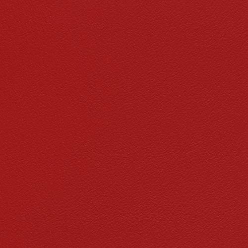 CV Suelo de vinilo monocolor Expotop – Suelo de PVC resistente a la abrasión – muchos colores (100 x 200 cm, rojo)