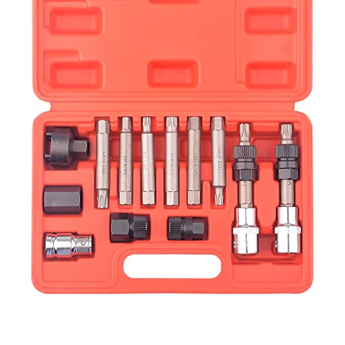 DAYUAN Kit de herramientas de 13 piezas para alternador de piñón libre para cochera, puntas hexagonales de estrella