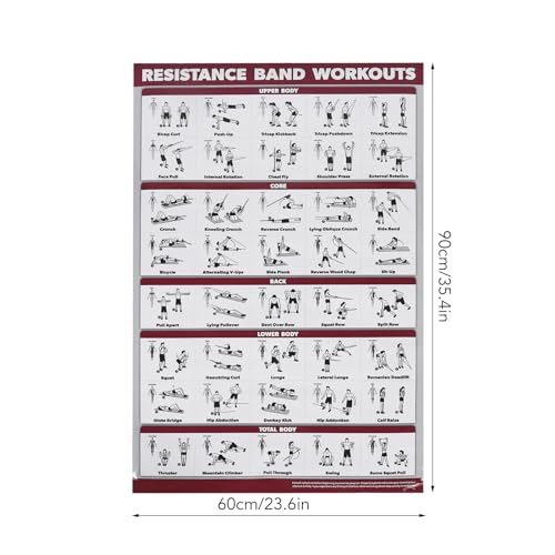 Dioche Juego de Pósteres de Entrenamiento, Póster de Entrenamiento con Bandas de Resistencia, Guía Visual Clara, Promueve la Postura Adecuada, Entrenamiento Específico, para