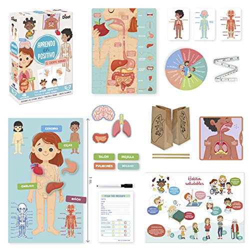 Diset- Juguete Educativo, Multicolor, 32x27,4x5,3 (41210)