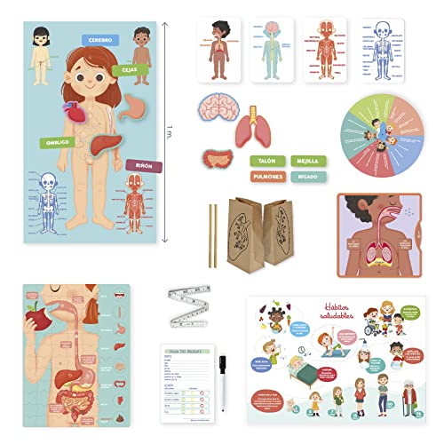 Diset- Juguete Educativo, Multicolor, 32x27,4x5,3 (41210)