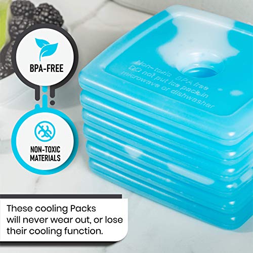 Dynamic Gear Acumulador de frío, Paquete de 6 Plana Freeze refrigeración Placa Bloques de congelador de Hielo Finos y Ligeros para neveras, fiambreras y Camping