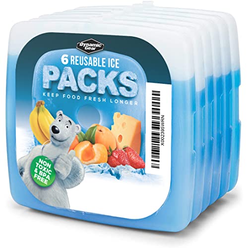 Dynamic Gear Acumulador de frío, Paquete de 6 Plana Freeze refrigeración Placa Bloques de congelador de Hielo Finos y Ligeros para neveras, fiambreras y Camping