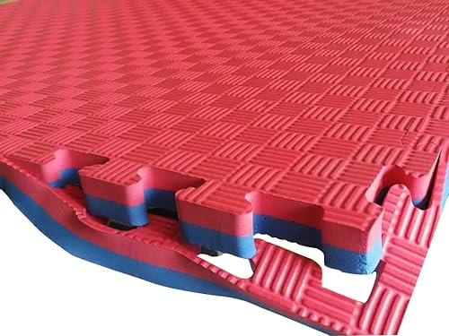 Fitness Tech - Loseta de Tatami - Puzzle Goma Espuma - Esterilla de Goma para HAcer Gimnasia - Perfecto para Artes Marciales (Azul y Rojo, 100x100x2 Cm)
