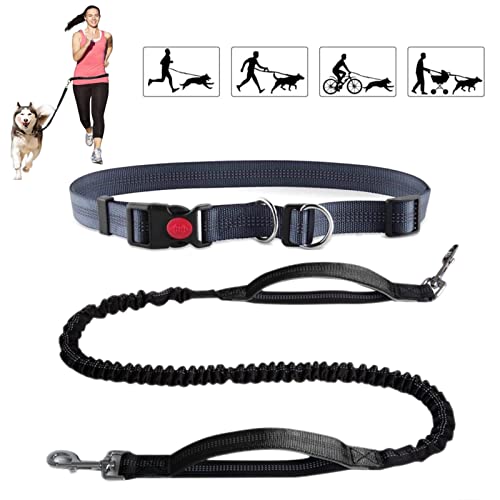 GAPPET Correa para Correr con Perros Manos Libres (120cm-200cm) con Costuras Reflectantes, cinturón Ajustable, Mango de Doble Control, Correa canicross elástica.