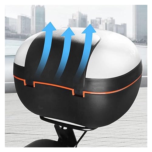 GOYUXV Baúl De Motocicleta, Cofre del Techo, Maleta Superior Universal, Adecuado para Scooters, Motocicletas, Ciclomotores Y Quads (Color : Plover Palm)