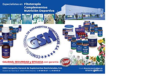 GSN | L-Carnitina Tartrato | Aumento de Energía, Rendimiento Deportivo y Recuperación | Incrementa Fuerza y Vitalidad en Dietas | Quema Grasas | Reduce Sensación de Hambre | 80 comprimidos | 748 mg