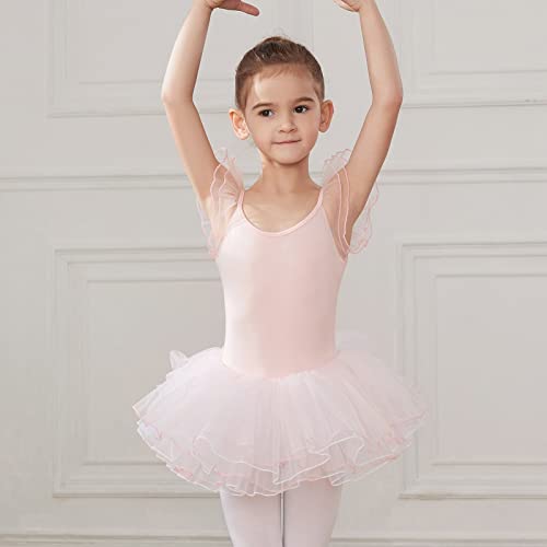 HIPPOSEUS Niña Maillot de Danza Tutú Vestido de Ballet Gimnasia Leotardo Body Clásico para Niñas Body Traje de Baile,Y04-Rosa Claro,11-12 Años