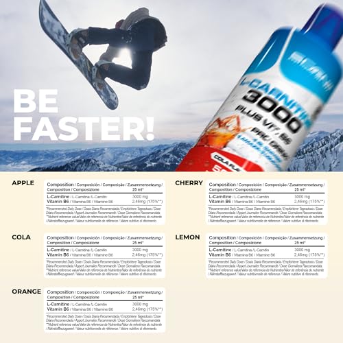 L Carnitina 3000 - L Carnitina Liquida 500 ml - Carnitina Liquida 3000 - Carnitina Liquida - L-Carnitina 3000 - L Carnitina Viales - L Carnitina - l - carnitina (1 bote de 500 ml) (Cereza)