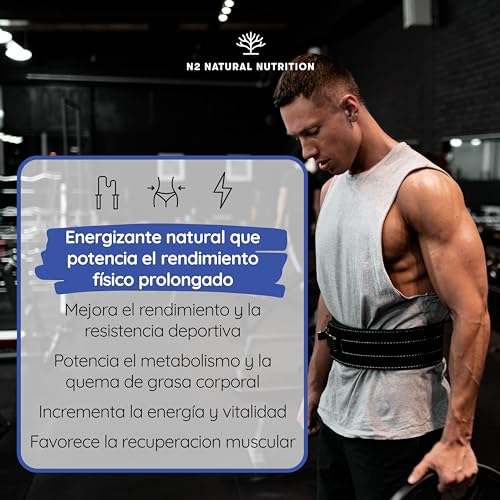 L CARNITINA Natural 3000 mg, Quemagrasas Potente Para Adelgazar, 40 días, L-Carnitina Pre Workout Gym, Mejora Energía, Resistencia y Rendimiento. Fácil Apertura. Vegano, N2 Natural Nutrition