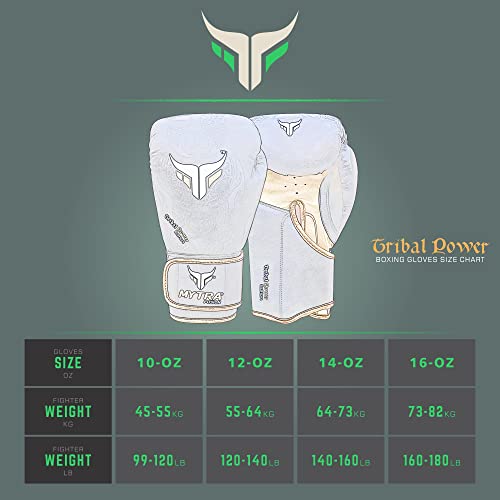 Mytra Fusion Guantes de Boxeo - Guantes de Entrenamiento MMA Punch, Kickboxing, Fitness, Sparring, Muay Thai, Entrenamiento y Lucha (Black Gold, 10-oz)